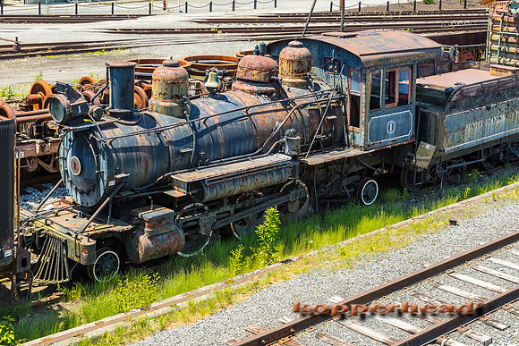 39695 06 2019 Kopperhead