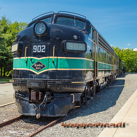 39745 06 2019 Kopperhead