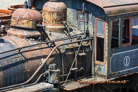 39671 06 2019 Kopperhead
