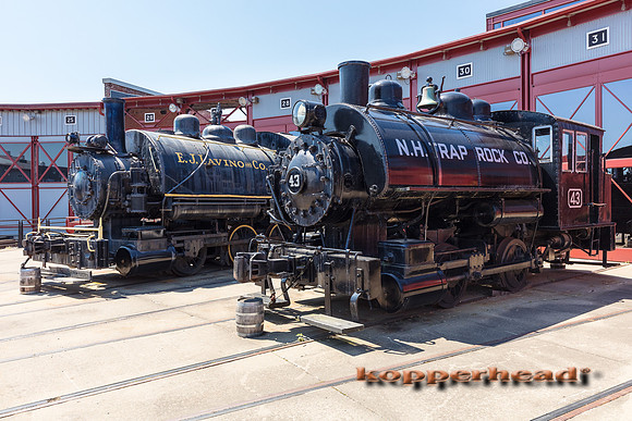 39626 06 2019 Kopperhead