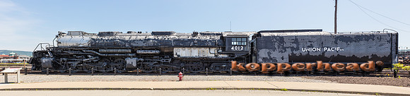 39659 06 2019 Kopperhead
