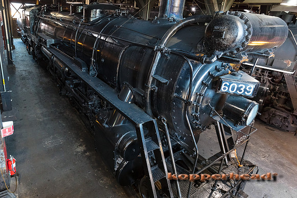 39617 06 2019 Kopperhead