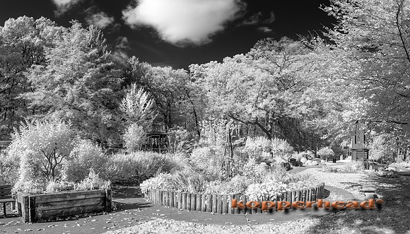 70296ir 11 2019 Kopperhead