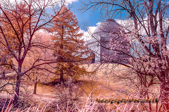 70307ir 11 2019 Kopperhead
