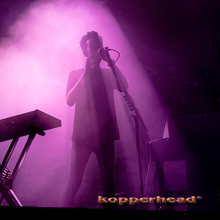 07824 07 2017 Kopperhead