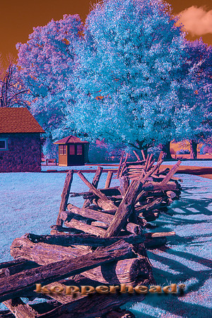 70320ir 11 2019 Kopperhead