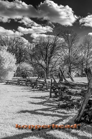 70318ir 11 2019 Kopperhead