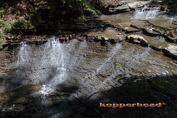 08593 07 2020 Kopperhead