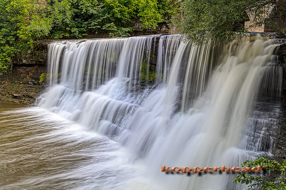 08316hA 07 2020 Kopperhead