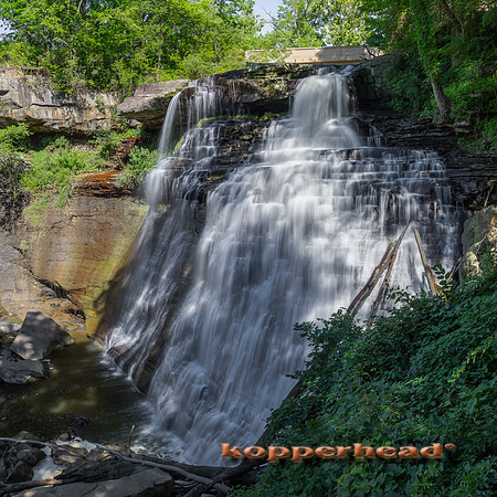 08625p 07 2020 Kopperhead