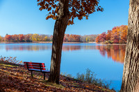 Wingfoot & Alliance