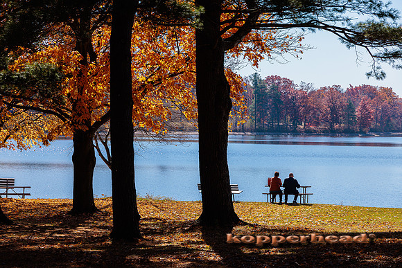 51760 10 2022 Kopperhead