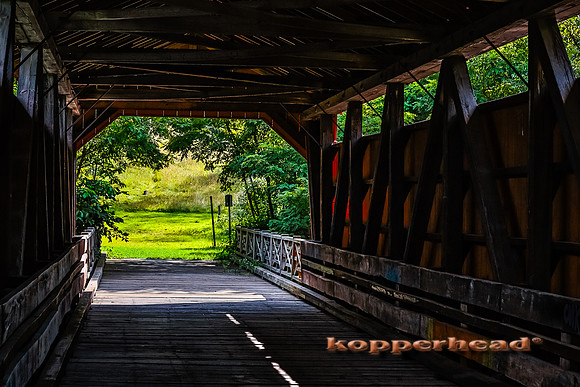 24905h 08 2014 Kopperhead