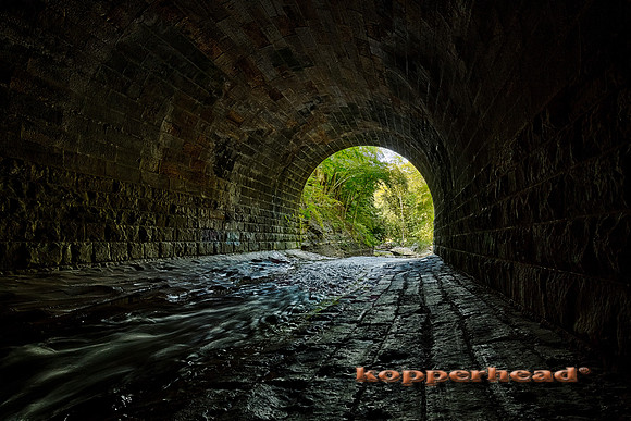 10646h2 09 2017 Kopperhead
