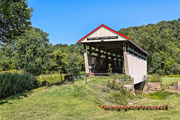 24727h 08 2014 Kopperhead