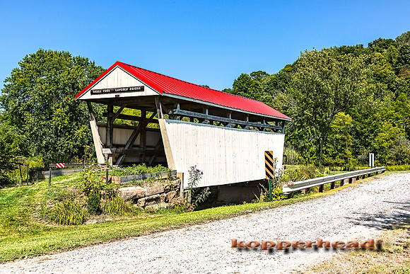 24712h 08 2014 Kopperhead