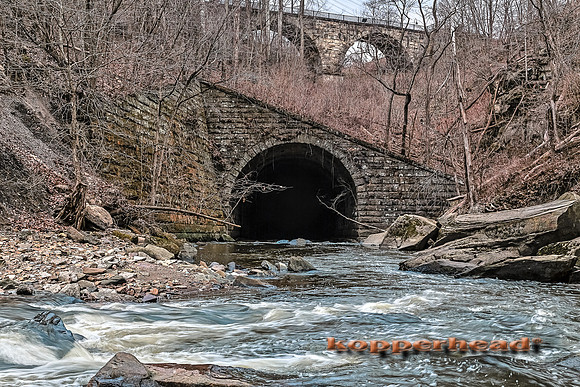 47488h 01 2016 Kopperhead