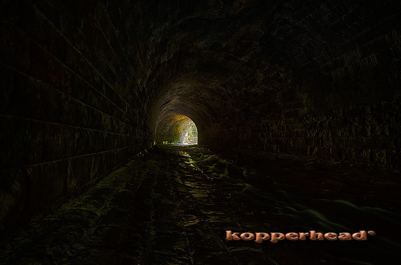 10686h2 09 2017 Kopperhead