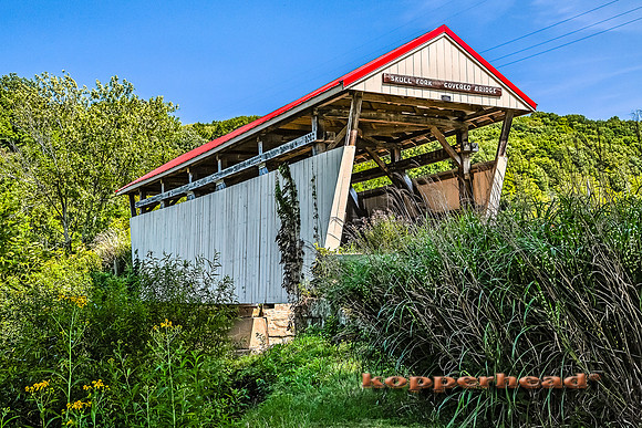 24692h 08 2014 Kopperhead