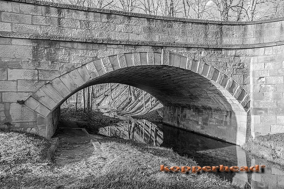 46050 12 2015 Kopperhead