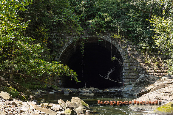 10879 09 2017 Kopperhead