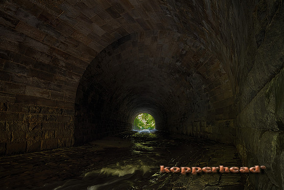 10748h2 09 2017 Kopperhead