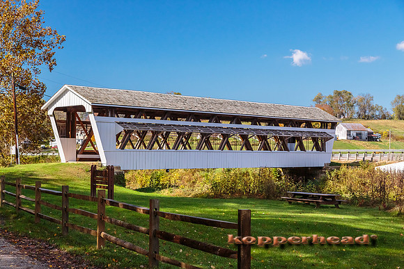 12686 10 2013 Kopperhead