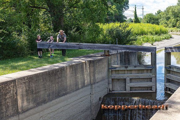 09065 08 2017 Kopperhead