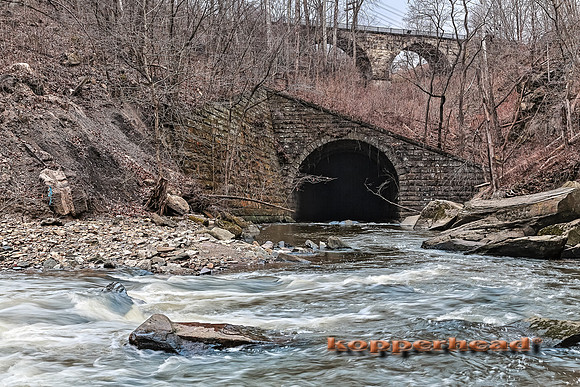 47504h 01 2016 Kopperhead