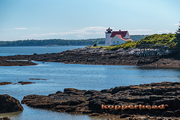 23150 07 2014 Kopperhead