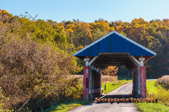 12636 10 2013 Kopperhead