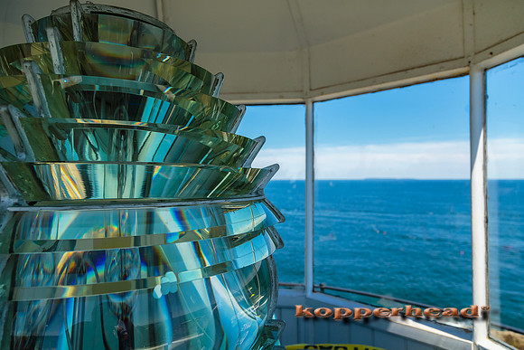 23145 07 2014 Kopperhead
