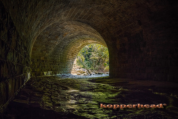 10699h2 09 2017 Kopperhead