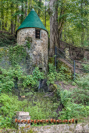 07113h 07 2013 Kopperhead