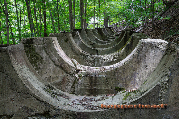 39868 08 2015 Kopperhead