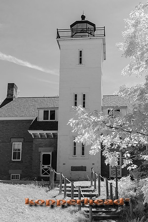 69610ir 07 2016 Kopperhead
