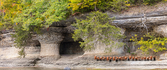 11548p 10 2020 Kopperhead