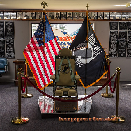 11537 10 2020 Kopperhead