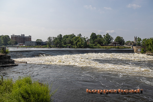 11368 07 2021 Kopperhead