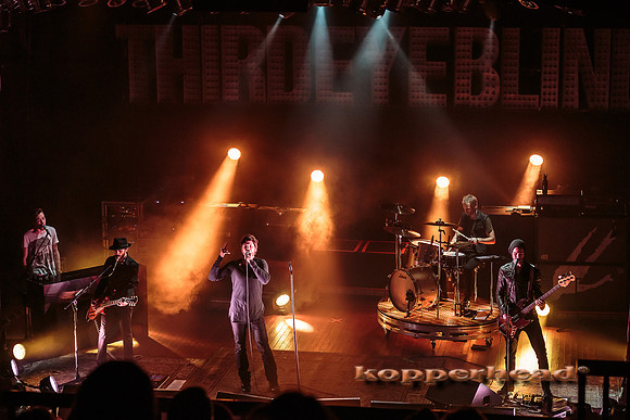 14394 11 2013 Kopperhead