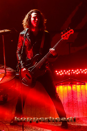 15153 11 2013 Kopperhead