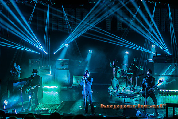 14376 11 2013 Kopperhead