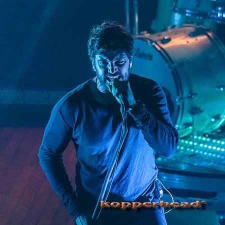 14872 11 2013 Kopperhead