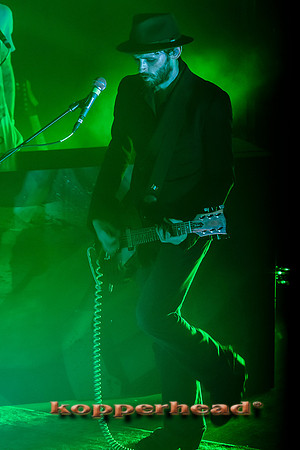14313 11 2013 Kopperhead