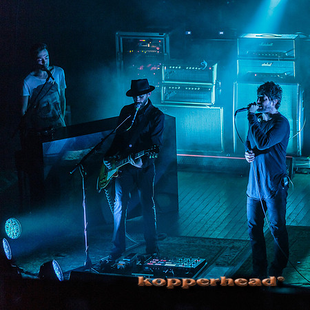 14372 11 2013 Kopperhead