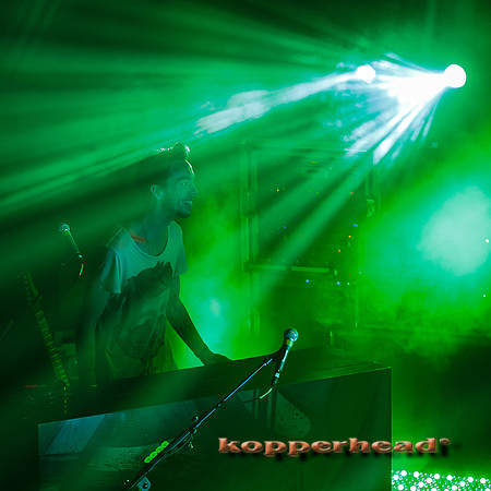 14326 11 2013 Kopperhead
