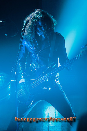 14888 11 2013 Kopperhead