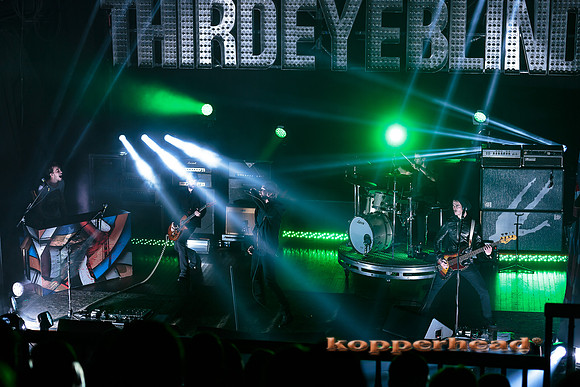 14317 11 2013 Kopperhead