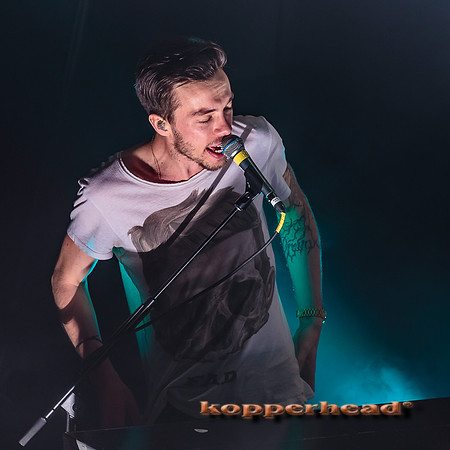 14884 11 2013 Kopperhead