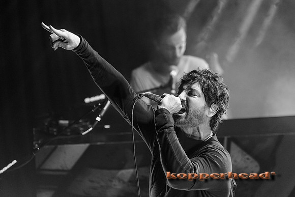 14440 11 2013 Kopperhead